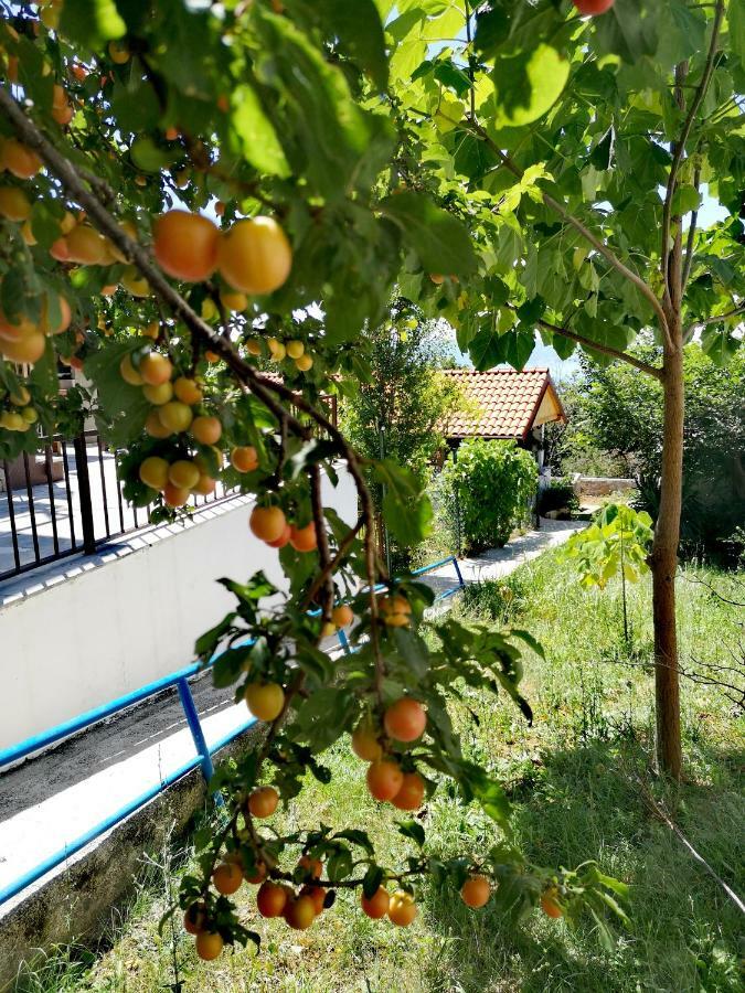 Apartment Eden Crikvenica Luaran gambar